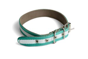COLLAR EN CINTA NYLON BANDERA DE ANDALUCIA CON REFUERZO DE CUERO