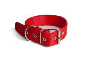 COLLAR EN CINTA NYLON REFORZADA ROJA